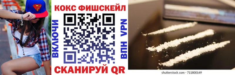 купить наркотики цена  Оренбург  Cocaine Fish Scale 