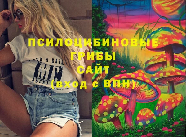 МДМА Богородицк