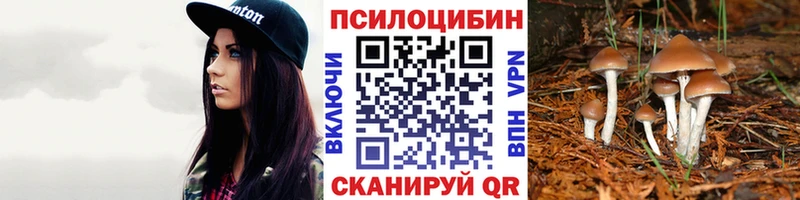 Галлюциногенные грибы прущие грибы  купить наркотики сайты  Оренбург 
